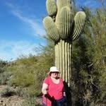 Nancy Borth - @borthnancy - Instagram