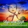 nancyboston745 - @nancyboston745 - TikTok