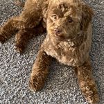Nancy Bosworth - @bosworth9674 - Instagram