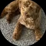 Nancy Bosworth - @bosworth69473 - Instagram