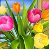 Nancy Bourgeois - @nancybourgeois349 - TikTok