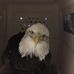 Nancy Bouse - Facebook