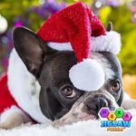 Nancy Boxx - @nancy.boxx.79 - Instagram