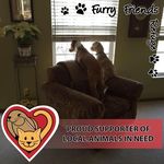 Nancy Boyd - @nancy.boyd.33821 - Instagram