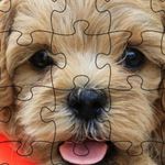 Nancy Boyer - @nancyboyer32 - Instagram