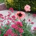 Nancy Bozarth - Facebook