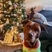 Nancy Borek - Facebook