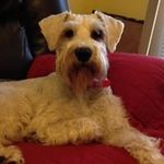 Nancy Braden - @bradennancy - Instagram