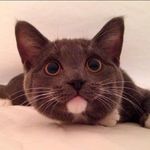 Nancy Bragg - @nancy2bragg - Instagram