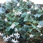 Nancy Bragg - @nancymbragg - Instagram