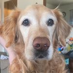 Nancy Dominguez Bragg - @nbbragg - Instagram