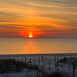 Nancy Brann Turner - @turnernancy7889 - Instagram