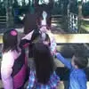 Nancy Bradford - @nancy.bradford8 - TikTok