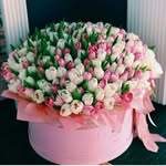 Nancy Branson - @justfor9917 - Instagram
