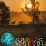 Nancy Carol Brass - @ncbrass - Instagram