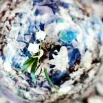 Nancy Bräuer - @orelie.bb - Instagram