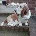 Nancy Brazell - Facebook