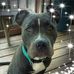 Nancy Brazell - Facebook