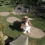 Nancy Brazell - @nancybrazell - Instagram