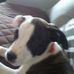 Nancy Brazell Carr Haase - Facebook