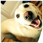 Nancy Breault - @nbro2014 - Instagram
