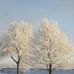 Nancy Breitbach Pudil - Facebook
