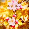 Nancy Breitenbach888 - @naninineno5 - TikTok