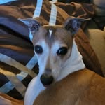 Nancy Brendle - @brendle.nancy - Instagram