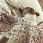 Susan Brett - @nancybrett - Instagram