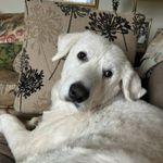 Nancy Brewster - @nancybrewster9 - Instagram