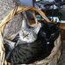 Nancy Brewster - Facebook