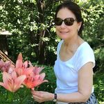 Nancy Brewster - @nancy_beebalm - Instagram