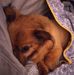 Nancy Brewster - Facebook