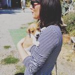 Nancy Brewster️️ 🐾🐾 - @brewmysters - Instagram