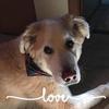 nancytuckerbrewster - @nancytuckerbrewster - TikTok