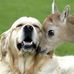 Nancy Bridwell - Facebook