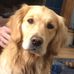 Nancy Briggeman - Facebook