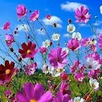 Nancy Brigman - Facebook