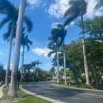 Nancy Brindley Weishaus - @nancyw02 - Instagram