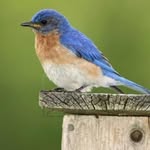 Nancy Brinkley - @nancy.brinkley.5 - Instagram