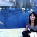 Nancy Scholz Brisco - Facebook