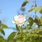 Nancy Broad - Facebook