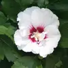 Nancy Broderick35 - @nancybroderick - TikTok