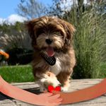Nancy Broderick - @nancybroderick304 - Instagram