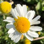 Nancy Brodeur - @nancybrodeur09 - Instagram