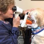 Nancy Bromberg - @nancy.bromberg2 - Instagram