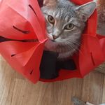 Nancy Broome - @nancy.broome.58 - Instagram