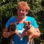 Nancy Brownfield - @agilitydogs2 - Instagram