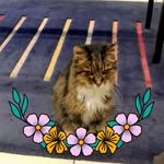 Cathryn Nancy Brownlow - @rosiecccff - Instagram