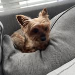 Karen Brownrigg - Facebook